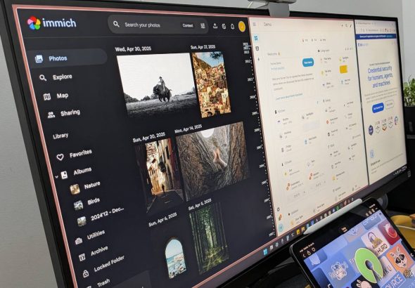 immich-home-assistant-and-bitwarden-on-side-by-side-in-a-windows-pc