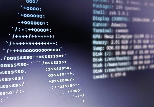 a-closeup-of-a-terminal-that-displays-information-for-an-arch-linux-system-1