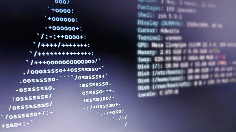 a-closeup-of-a-terminal-that-displays-information-for-an-arch-linux-system-1