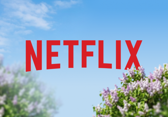 netflix-logo-against-a-clear-blue-sky-with-blurred-purple-flowers